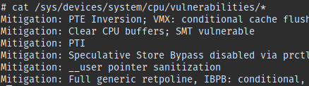 CPU vulnerabilities